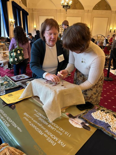 Dutchess Sheep  Wool Growers Association Rug Hooking Group